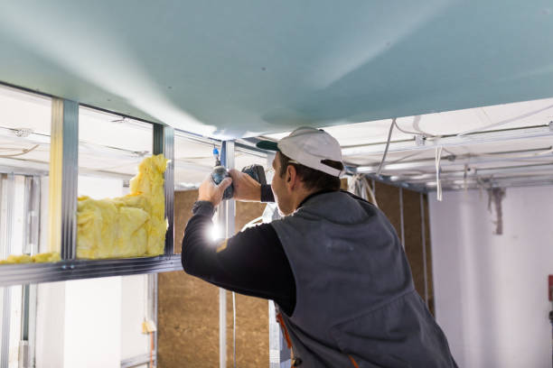Best Cellulose Insulation in Carey, OH