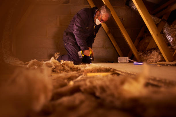 Best Geographic-Specific Insulation Services in Carey, OH